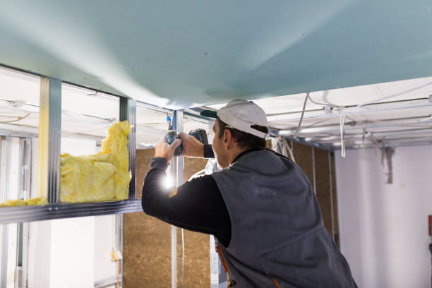 Best Geographic-Specific Insulation Services in Grant Park, IL