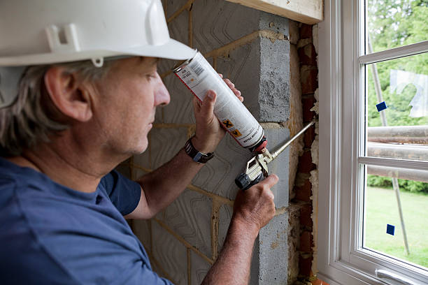 Best Insulation Maintenance and Repair in Grant Park, IL