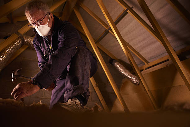 Best Eco-Friendly Insulation in Grant Park, IL