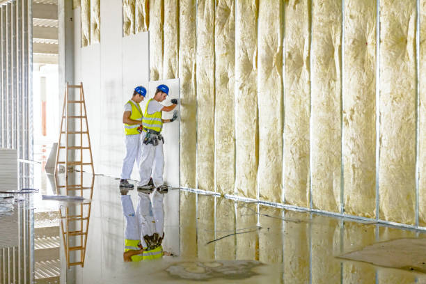 Types of Insulation We Offer in Grant Park, IL